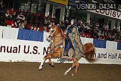 USN06_04341 proof