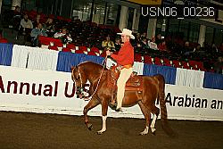 USN06_00236 proof
