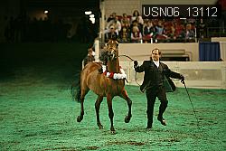 USN06_13112 proof