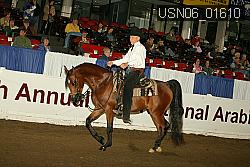 USN06_01610 proof