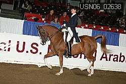 USN06_02638 proof