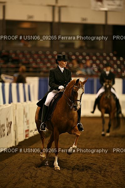 Proof USN06_09265