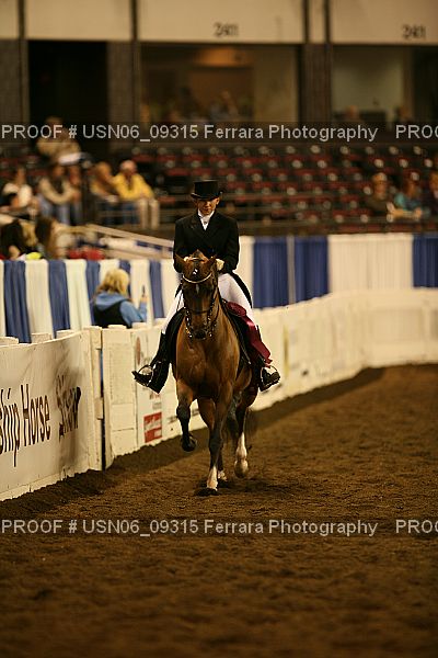 Proof USN06_09315