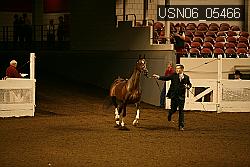 USN06_05466 proof