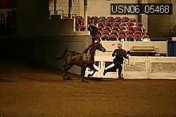 USN06_05468 proof