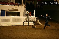 USN06_05470 proof