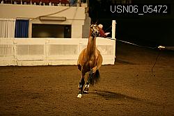 USN06_05472 proof