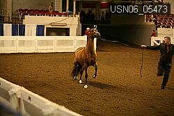 USN06_05473 proof