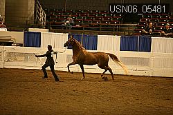 USN06_05481 proof