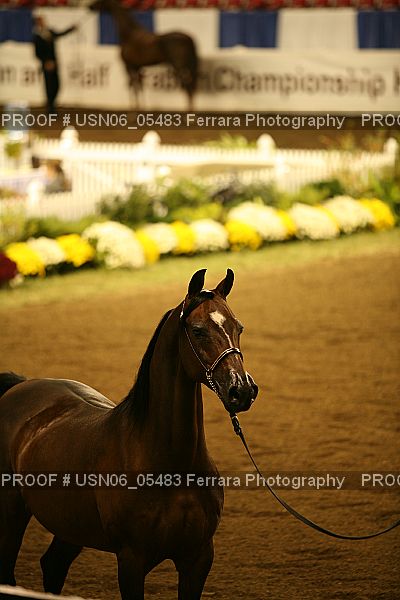Proof USN06_05483
