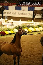USN06_05502 proof