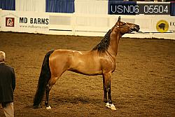 USN06_05504 proof