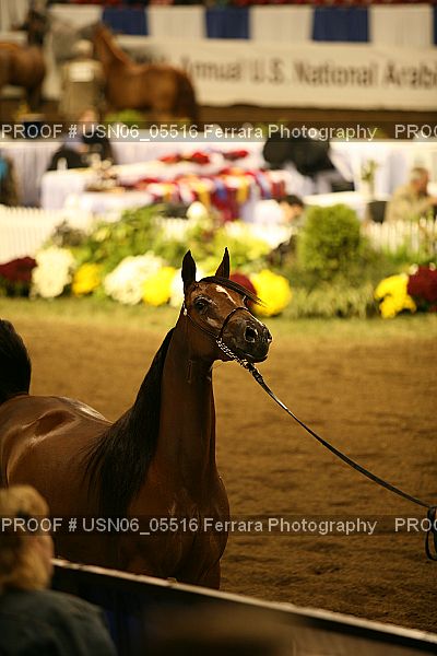 Proof USN06_05516