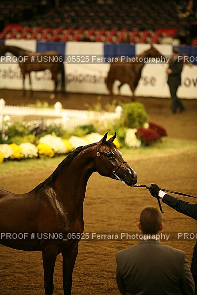 Proof USN06_05525
