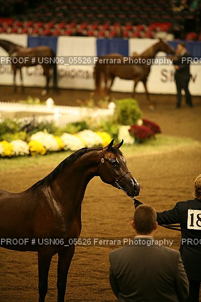 Proof USN06_05526