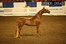 USN06_05543 proof