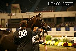 USN06_05557 proof
