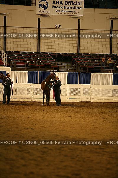 Proof USN06_05566