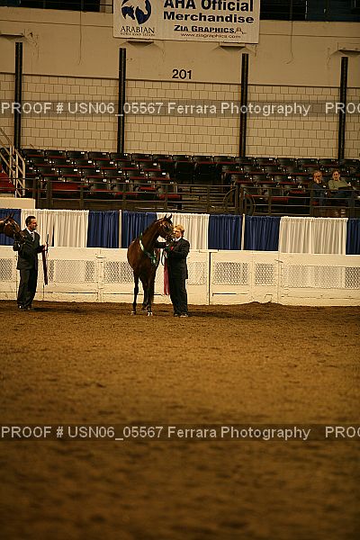 Proof USN06_05567