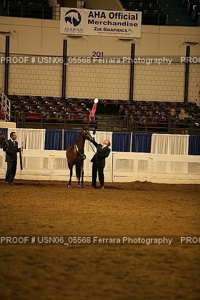 Proof USN06_05568