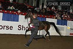 USN06_05582 proof