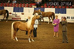 USN06_07164 proof