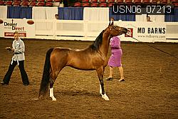 USN06_07213 proof
