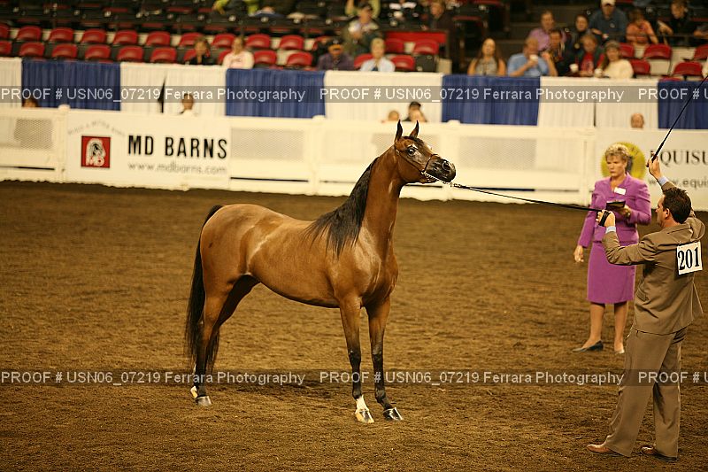 Proof USN06_07219
