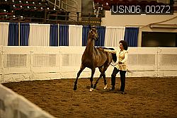 USN06_00272 proof