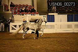 USN06_00273 proof