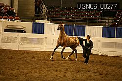 USN06_00277 proof