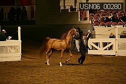 USN06_00280 proof