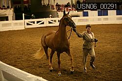 USN06_00291 proof