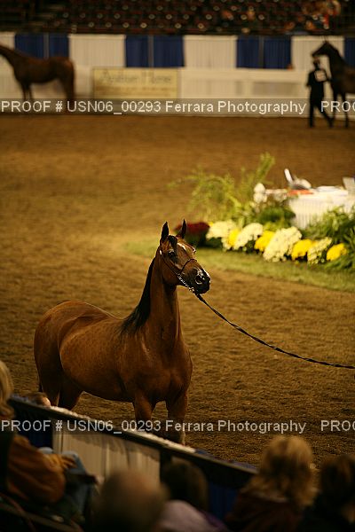 Proof USN06_00293