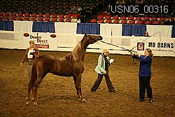 USN06_00316 proof