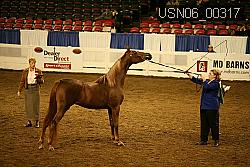 USN06_00317 proof