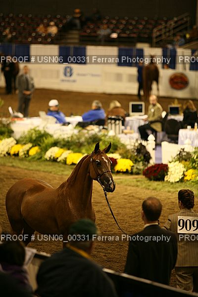 Proof USN06_00331