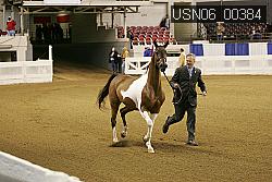 USN06_00384 proof