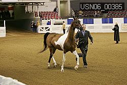 USN06_00385 proof