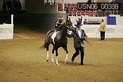 USN06_00388 proof