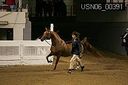 USN06_00391 proof