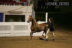 USN06_00392 proof
