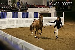 USN06_00393 proof