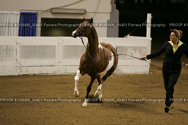 Proof USN06_00401