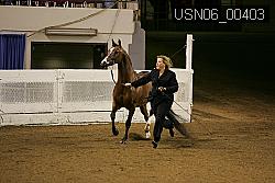 USN06_00403 proof