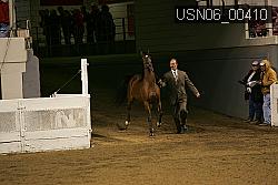 USN06_00410 proof
