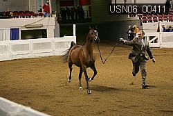 USN06_00411 proof