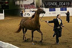 USN06_00419 proof