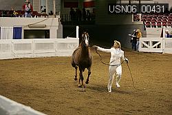 USN06_00431 proof