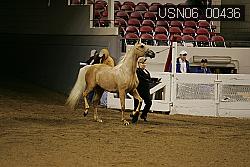 USN06_00436 proof